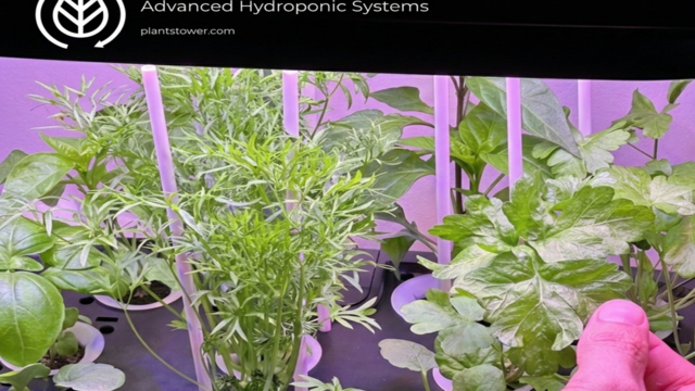  Nature Indoors: Redefining Home Gardening with Plants Tower Smart Hydroponics