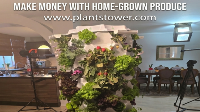 ​The Ultimate Guide to Earning at Home with Hydroponics: A Trendy & Lucrative Side Hustle