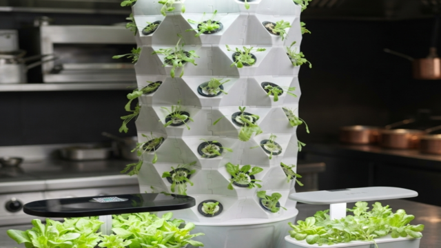 ​From Farm-to-Table, Right in Your Kitchen!